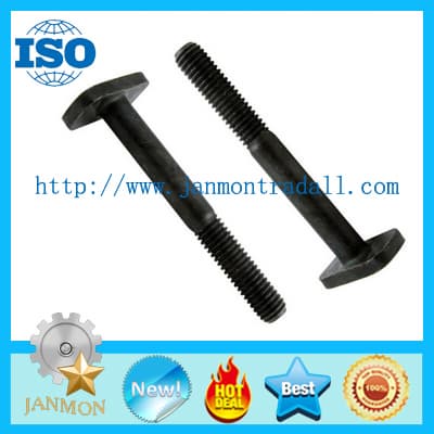 T bolts_Special T bolt_Special T bolts_T type bolt_T type bolts_Steel T bolt_Steel T bolts